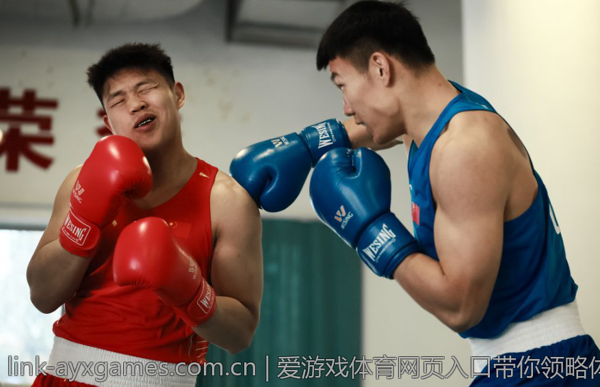 爱游戏体育网页入口带你领略体育激情